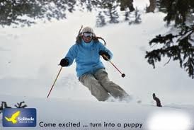 Solitude Mountain Resort